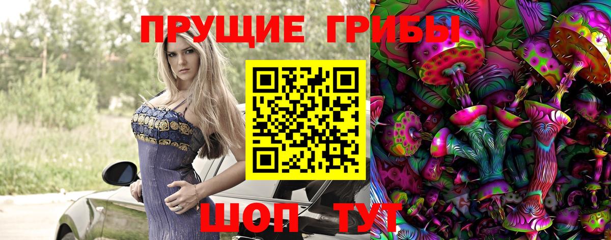 Чусовой  Галлюциногенные грибы MAGIC MUSHROOMS  Вход с VPN 