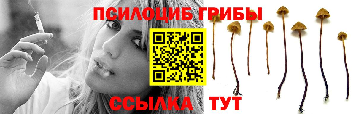 Псилоцибиновые грибы Cubensis Чусовой